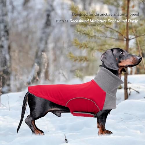 Brabtod Dog Winter Coat for Dachshund,Waterproof Miniature Dachshund Clothes Jacket,Small Dog Coat with Harness Slot,Dachshund Jumper with Turtle Neck,Pet Garment Ideal for Walking,Camping-Red-M Brabtod Dog Winter Coat for Dachshund,Waterproof Miniature Dachshund Clothes Jacket,Small Dog Coat with Harness Slot,Dachshund Jumper with Turtle Neck,Pet Garment Ideal for Walking,Camping-Red-M