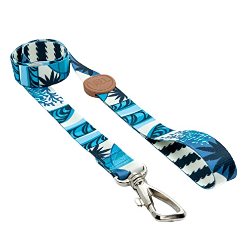 Toh Conjunto Peitoral Tradicional E Guia Noronha Pp