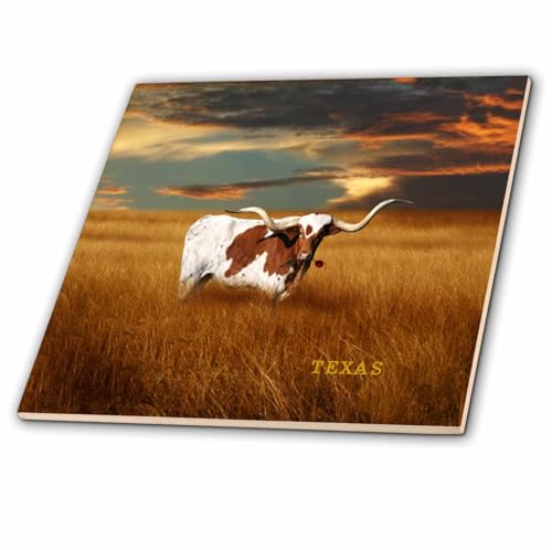 3dRose A Texas Longhorn - Ceramic Tile, 12-Inch (ct_62229_4)