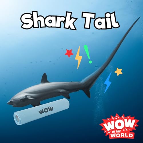Shark Tail (4/29/24) cover art