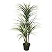 Vickerman TA170301 Everyday Yucca Tree