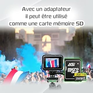 AGI TF138 Carte microSD 256 Go avec Adaptateur, et microSDXC, A2, U3, V30, Vitesse de Lecture jusqu'à 98 Mo/s pour Drone/DashCam/Appareil Photo/Téléphone/Switch/PC/Tablette
