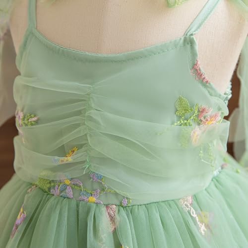 TTYAOVO Toddler Baby Dress Princess Party Tulle Dresses4