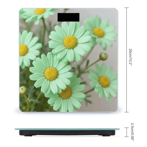 Báscula digital para cuerpo Daisy color verde pastel miniatura 2