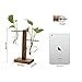 Feitore Glass Planter Bulb Vase, Desktop Plant Terrarium with Retro Solid Wooden Stand and Metal Swivel Holder for Hydroponics Plants Home Garden Office Wedding Decor - (2 Bulb Vase)