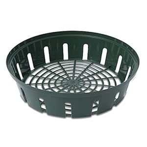 Windhager Vassoio di Semi bulbi da Fiore, Verde, Diametro 22 cm, 3 Pezzi