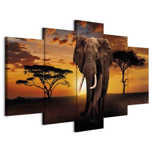 Cuadros B&D XXL   Cuadro en Lienzo Africa 200x100 cm 5 piezas   Impresión en material tejido no tejido cuadros decoracion salon modernos lienzos   Elefante Animal Naturaleza Paisaje g C 0025 b m