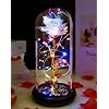 Birthday gifts for women mothers day flowers gifts for mom mothers day presents wife grandma mom from daughter colorful galaxy crystal light up rose in a glass domei love you gifts for her  urban country home decor