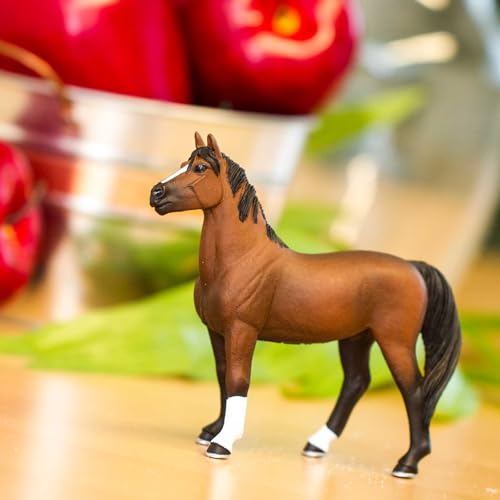 Morgan Stallion pour vos soirées en ville et rendez-vous pro