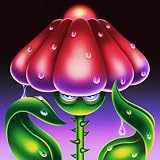 algodystrophie de la cheville  Algot\'s Acid