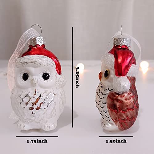 Amanman Glass Christmas Ornaments 2022, Set Of 2 Owls Blown Glass Ornaments For Christmas Tree Decorations #TOP3