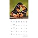 Carousel Calendars, Rottweiler Puppies 2026 Wall Calendar, 12'' X 12'', 16-Month Calendar with Stapled Binding