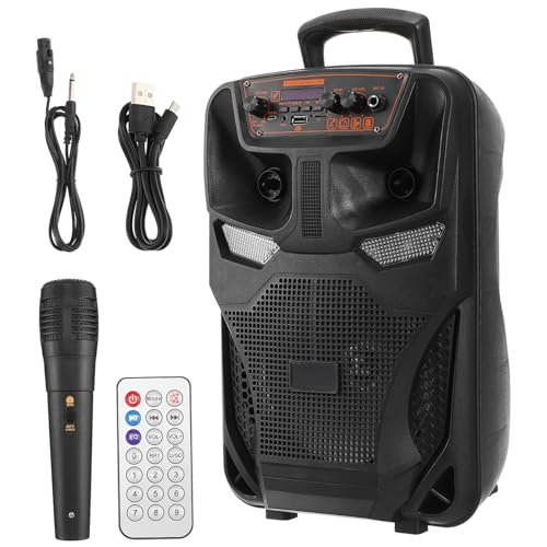 Haut-parleur rechargeable compact pour résoudre le manque de puissance en plein air