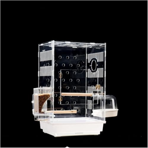 IEpm}ANP[WhHϏܕʑƒpWP[W (zCg)