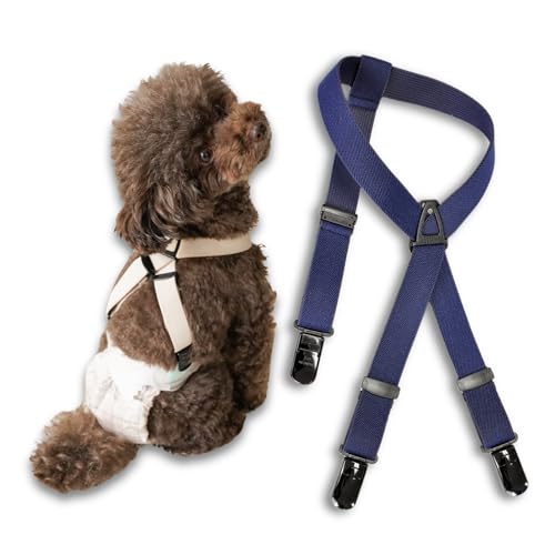 NEWYw_[ (V2L, lCr[) Ic}i[xĝ藎h~ hbOTXy_[ Ic}i[xĝ藎h~ NV/2L