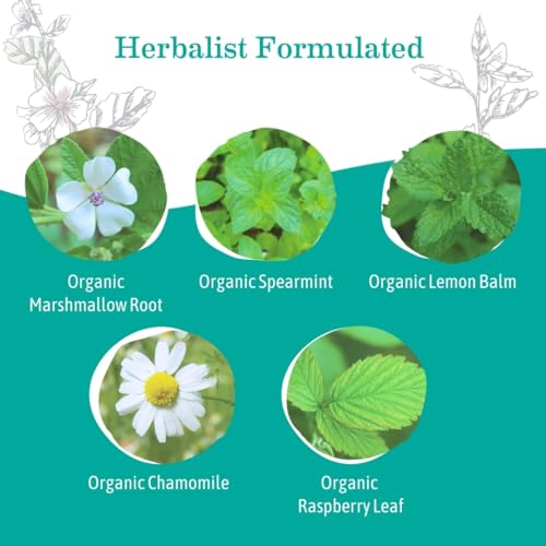 Earth Mama Organic Heartburn Tea | Pregnancy-Safe Soothing Herbal Blend with Marshmallow Root, Lemon Balm & Chamomile, 16 Teabags Per Box (6-Pack)