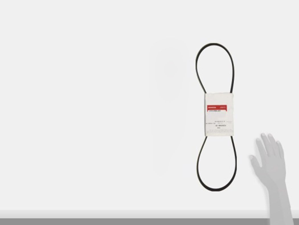 Acura 31110-R8A-A01 Serpentine Belt