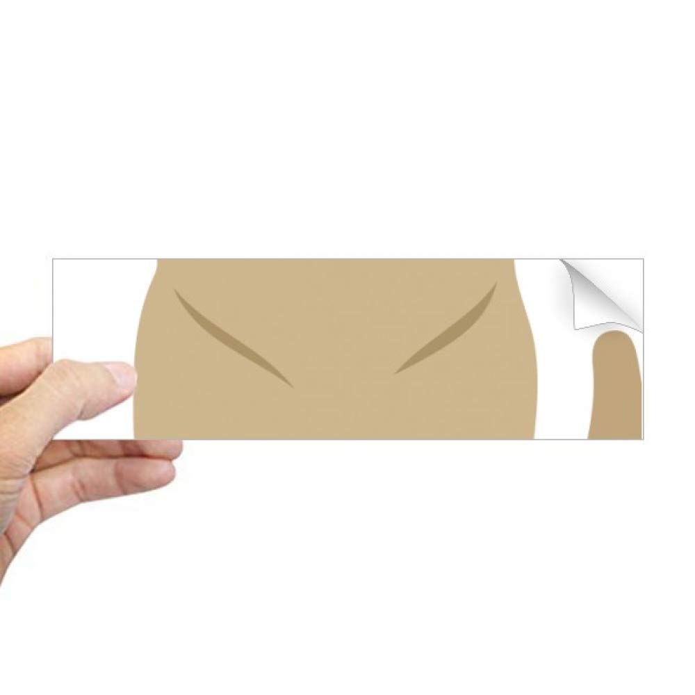 Autocollant rectangulaire pour fenêtre pour animal domestique salon