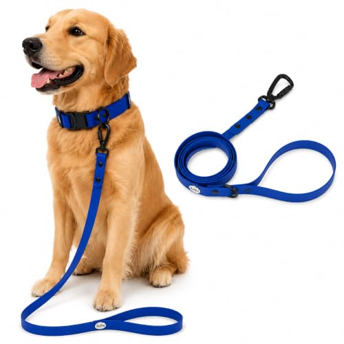 Image of Adil's Biothane Dog Leash - Waterproof Leashes for Dogs, Metal Hook, Adjustable 5ft Length Suitable for Dogs & Puppies, Ideal for Walking, Running & Training (Blue)