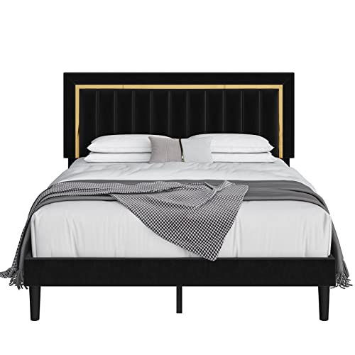 Hithos Queen Size Bed Frame With Adjustable Tufted Headboard, Velvet Upholstered Platform Bed Frame With Gold Trim, Heavy Duty Mattress Foundation With Steel Frame, Easy-Assembly Slats (Black, Queen) #TOP6
