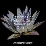 Amanecer de Verano