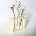 Mkono Wall Hanging Plant Propagation Glass Planter Station 3 Tubes with Wood Stand Flower Vase Desktop Terrarium for Propagating Hydroponic Cutting Plants, Home Office Decoration, Beige