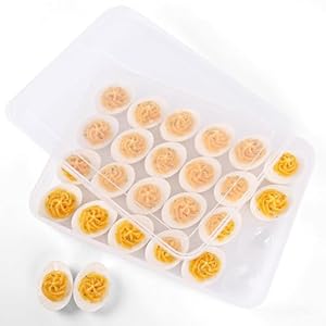 HANSGO Deviled Egg Containers with Lid, Deviled Egg Tray Holder Carrier with Lid for 24 Eggs for Home Party Kitchen Supplies Refrigerator Storage