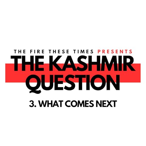 204/ The Kashmir Question: What Comes Next w/ Ather Zia, Hafsa Kanjwal and Abdulla Moaswes