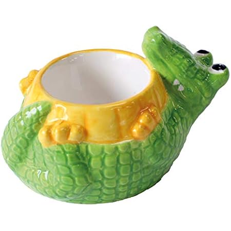 Coquetiers rigolos pour enfants | PETIT JOUR