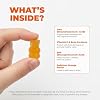 Premium Kids Omega 3 Gummies Orange Flavor Fish Oil for Kids Omega 3 Gummies for Children No Fish Burps Brain, Eye & Immune Support 2 Month Supply
