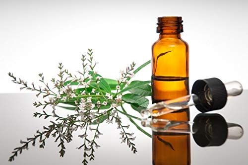 Preisvergleich Produktbild RIZOL NASENÖL 30ml von AKTIVBIO