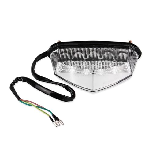 Feu arrière LED pour moto et garde-boue de Dirt Bike 12V