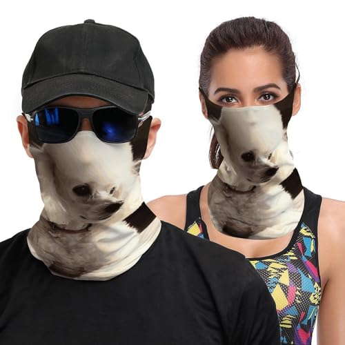 Neck Gaiter French Poodle Face Mask for Travel Face Cover Scarf for Men Women Elastic Headbands Wind-proof Bandana for Skiing Fishing Hiking Cycling