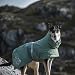 Hurtta Extreme Warmer Hundemantel, Winterjacke für Hunde Dunkelgrau 45cm