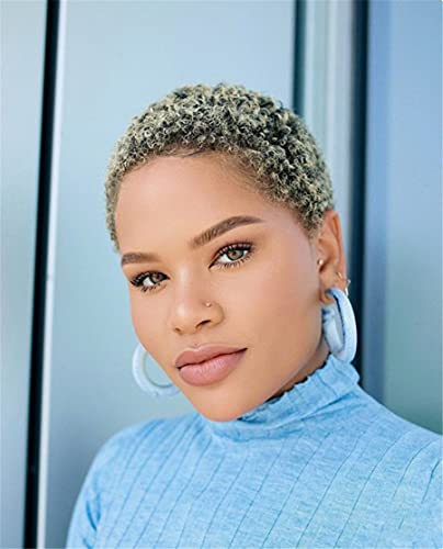 WANLIAN Short Afro Curly Not Human Hair Wigs for Black Women Pixie Cut Kinky Curly Short Wigs 150% Density Afro Wig for African American Replacement Wigs Natural Color (Yellow)