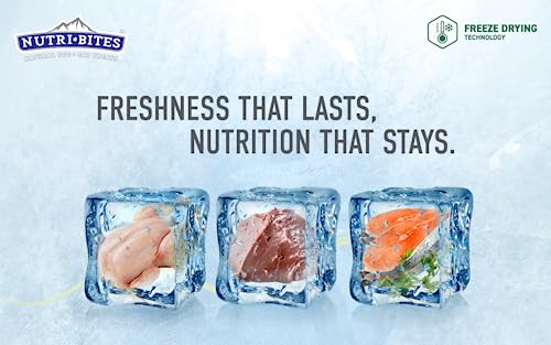 Nutri-Bites-Value-Pack-Beef-Liver-Pets-Treats-Freeze-Dried-Premium-Quality-Single-Ingredients-High-Protein-176-OZ-for-Dogs-and-Cats
