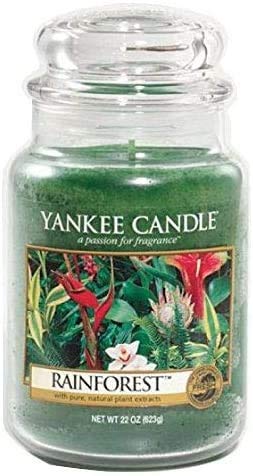 Rainforest Large Jar Candle,Fresh Scent #TOP17