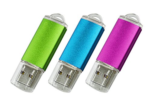 VICFUN 3pcs 16GB USB Sticks USB2.0 Flash Drive Thumb Drive USB Drive Memory Stick(Pink Blue Green)