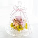 IPFA プリザーブドフラワー ガラスドーム エンジェル(春モデル/ピンク)誕生日 結婚祝い 結婚記念日 退職祝い 還暦祝い プレゼント ギフト 人気 花 バラ お祝い 仏花 お供え フラワーギフト 記念日 桜色