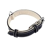 Collier pour grands chiens : longueur ajustable spécialement conçue pour les chiens de taille moyenne à , collier en cuir pour chien