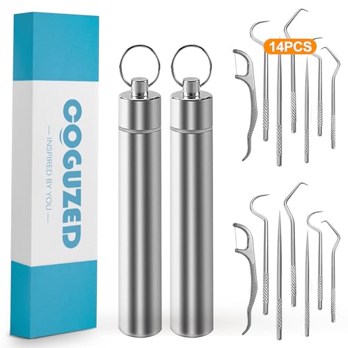 CoguZed 14pcs Stainless Steel Toothpick Set, Reusable Metal Toothpicks for Teeth with Dispenser, Portable Travel Toothpick Tool for Outdoor Picnic Camping