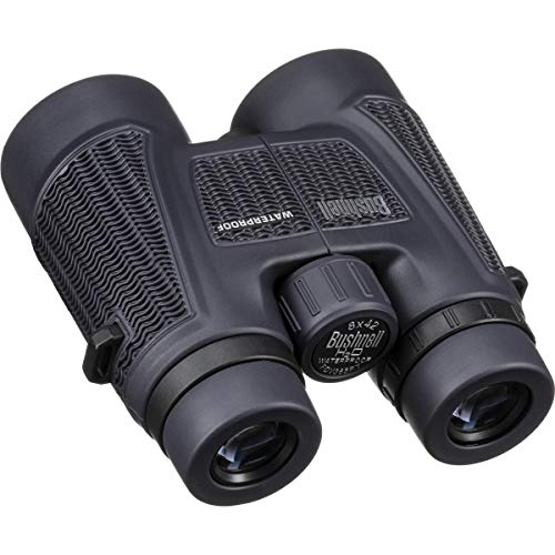 Bushnell H2O Waterproof/Fogproof Roof Prism Binocular 8 x 42-mm AD