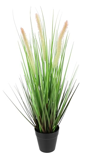 Künstliches Fuchsschwanzgras im Topf Gras Kunstpflanze Kunstgras Ziergras Grünpflanzen Dekogras Grasbüschel Ziergras Solitärgras Deko Grasarrangement Borstenhirse Panicoideae Süßgräser Setaria., 11.69 €