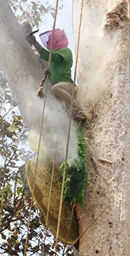 Royal Bee Brothers | Combo Pack of Black and White Kashmiri Honey | 100% Pure and Natural & Raw | Produce of Wild Honey Bee | Unheated, Unprocessed, Unadulterated | 500 g * 2 Glass Bottle