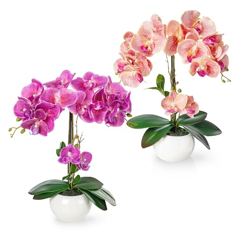 🌺Alto valore - I fiori artificiali in vaso di PASCH sono realizzati con materiali durevoli e prodotti con cura. Grazie alla scelta attenta del nostro artista dei fiori, le estetiche piante artificiali possono convincere grazie a una gustosa variazione tra arte e pianta