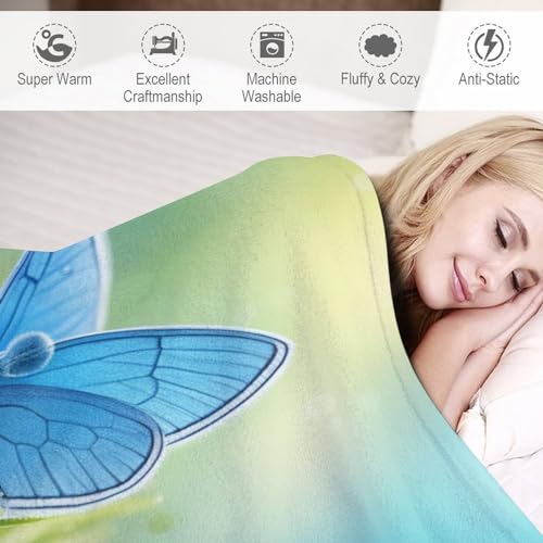 Couverture papillon flannel douce grande taille housse de chaise - 4
