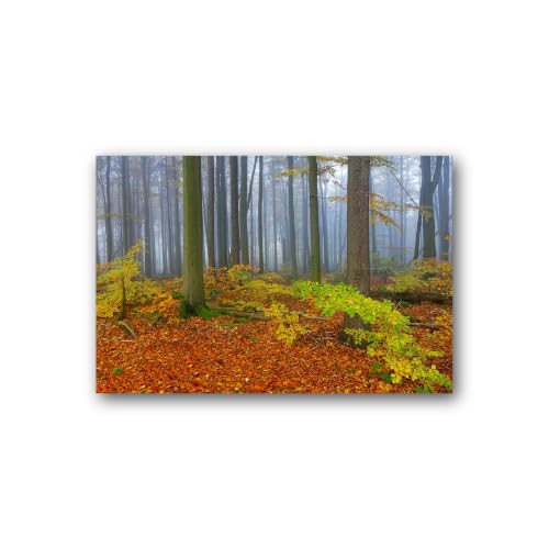 Tableau sur toile forêt d'automne brumeuse pour salon chic