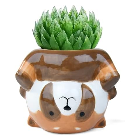YINUOWEI Cute Animal Ceramics Planter Succulent Pot with Drainage, 4.4 Inch Plant Pot for Indoor Mini Plants Flower Cactus, Home and Garden Decor Fun Gift (Raccoon) Cover