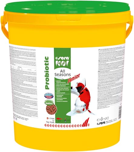 sera Koi Junior All Seasons Probiotic 7 kg | Spezialfutter für Jung-Koi bis 15cm | Mit EFSA-empfohlenem Bacillus subtilis | Optimiert die Darmflora & Futterverwertung | Reduziert Wasserbelastung