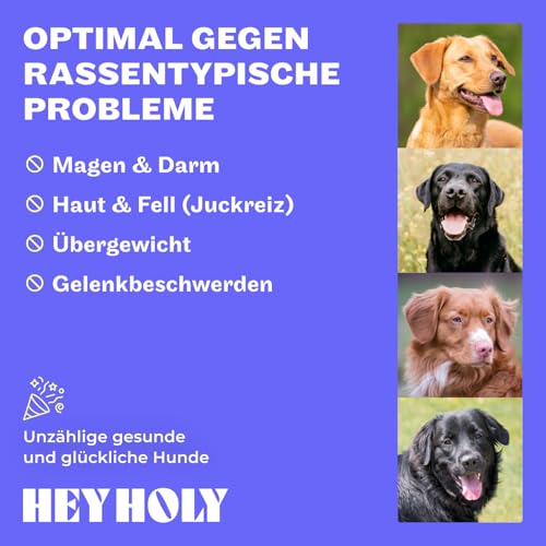 HEY HOLY Premium Trockenfutter für Retriever 100% getreidefrei | 14kg hypoallergenes Hundefutter für ausgewachsene Retriever mit Lamm | Hochverträglich aus natürlichen Zutaten